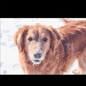 Meet your Posher, Mabrey